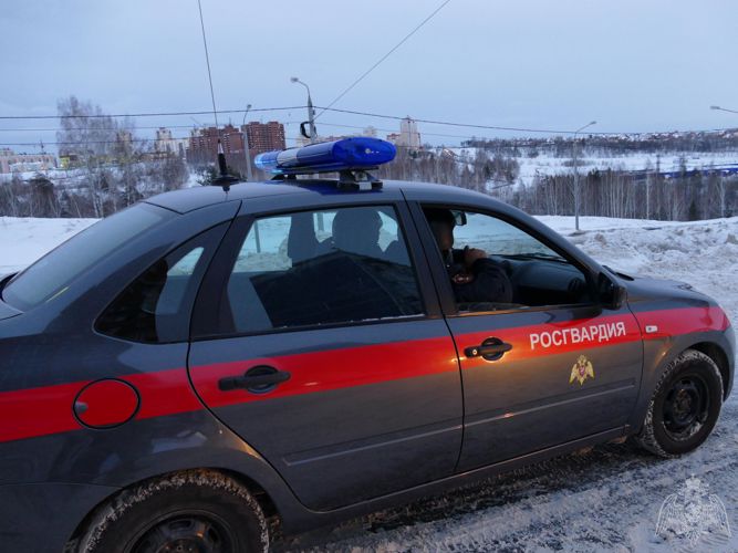 В городе Колпашево росгвардейцами вневедомственной охраны задержана гражданка, подозреваемая в краже телевизора