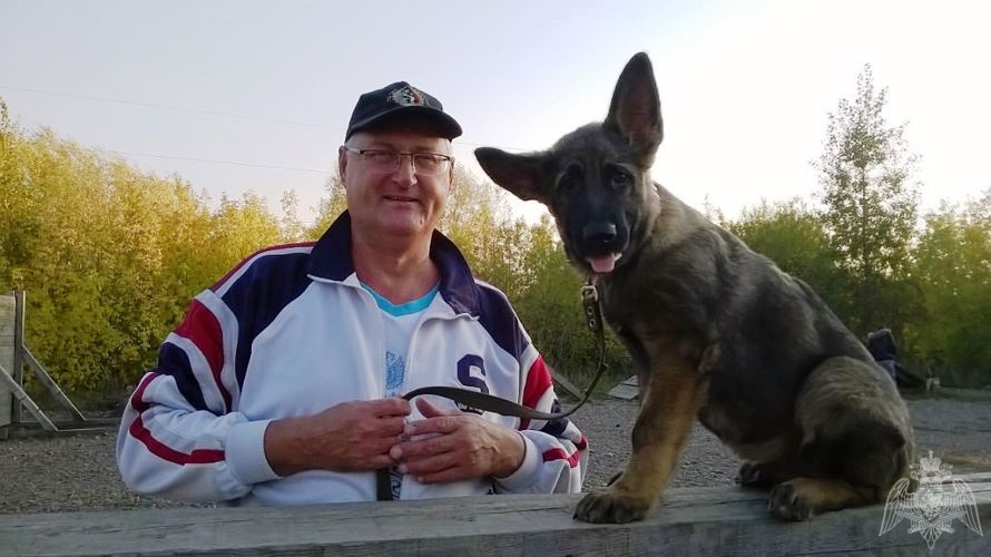 Накануне Дня вневедомственной охраны заслуженный кинолог Томской области поделился воспоминаниями о службе и рассказал об особенностях воспитания собак
