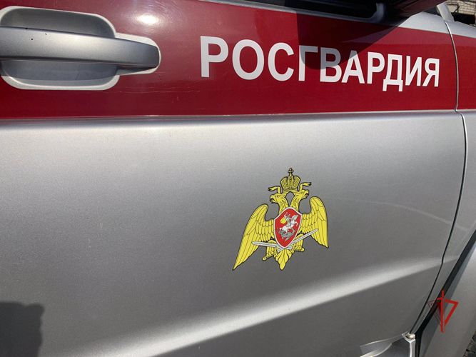 Сотрудниками Росгвардии задержан мужчина, объявленный в федеральный розыск