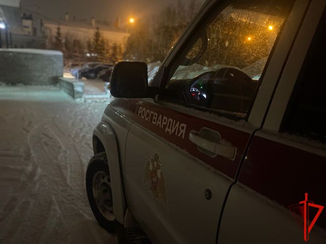Росгвардейцы разыскали мужчину, подозреваемого в нанесении ножевых ранений своему родственнику
