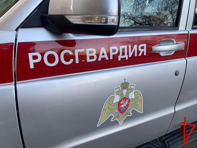 Росгвардейцы и служба безопасности охраняемого гипермаркета пресекли магазинную кражу в Томске (видео)