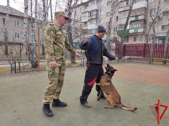 Ведомственная акция «Добрые дела с Росгвардией» продолжается в Томской области