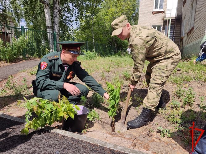 Томские росгвардейцы присоединились к международной патриотической акции «Сад памяти» (видео)