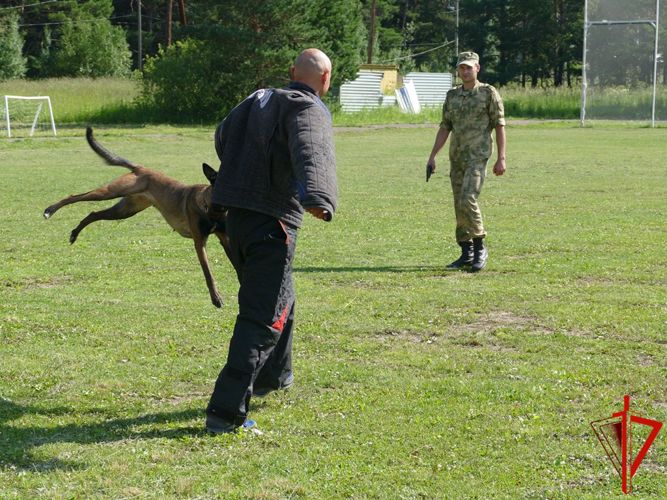 В Томской области акция «Каникулы с Росгвардией» прошла в детском оздоровительном лагере «Огонек» (видео)