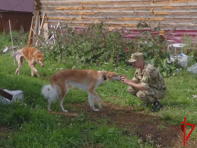 Росгвардейцы в Томской области оказали помощь Центру реабилитации диких животных (видео)