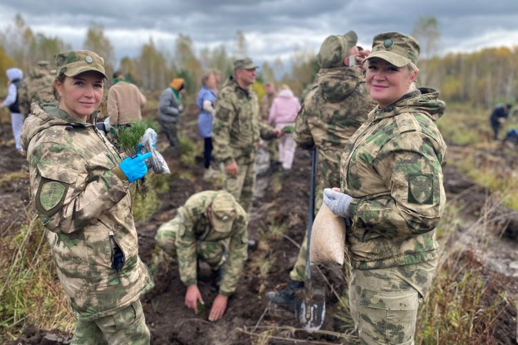 Росгвардейцы в Томской области высадили кедры в честь погибших героев специальной военной операции (видео)