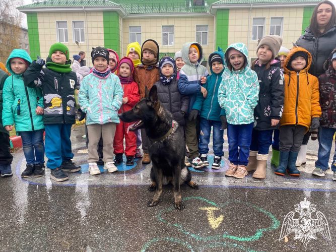 Росгвардейцы встретились с томскими дошколятами (видео)