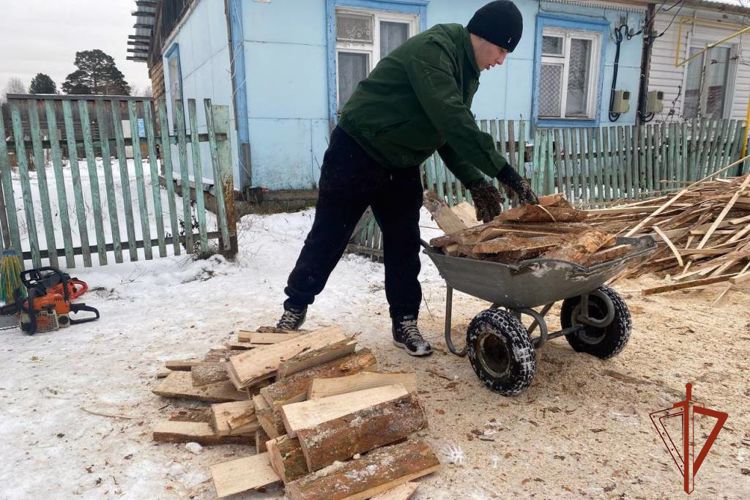 Томские росгвардейцы помогли семье погибшего сотрудника заготовить на зиму дрова (видео)