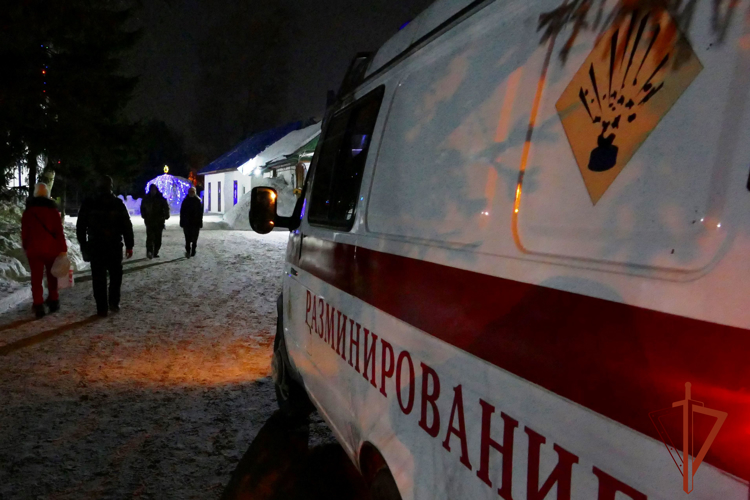 Профессиональный праздник отмечают специалисты инженерной службы Росгвардии в Томской области