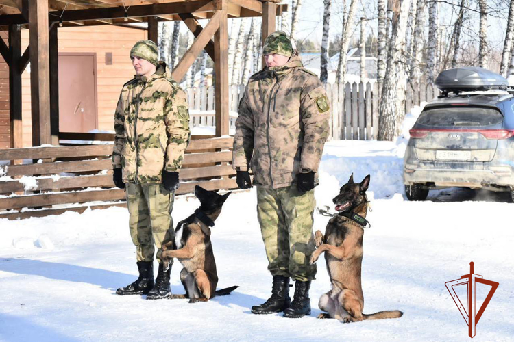 Акция Росгвардии «Неделя мужества» завершилась в Томской области
