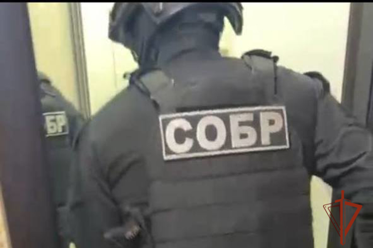 При силовой поддержке спецназа Росгвардии задержаны теневые банкиры в Томске