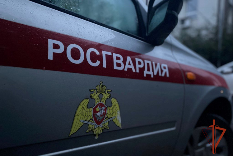 Росгвардейцы совместно с сотрудниками службы безопасности гипермаркета в Томске задержали подозреваемого в хищении товаров (видео)