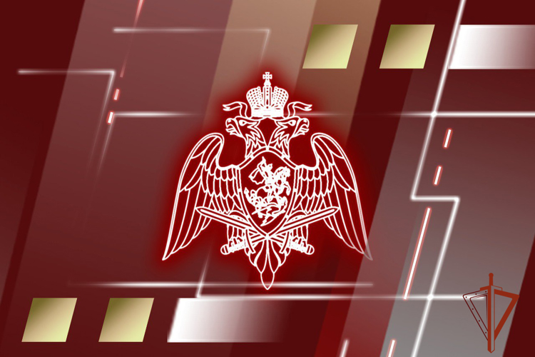 В ЦЛРР Росгвардии в Томской области состоялось заседание комиссии Координационного совета по вопросам частной охранной деятельности