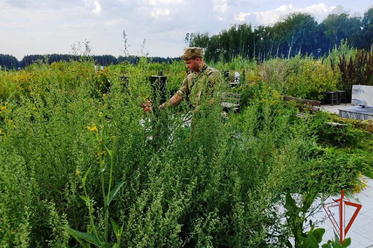 Всероссийская акция Росгвардии «На страже памяти» прошла в Томской области (видео)