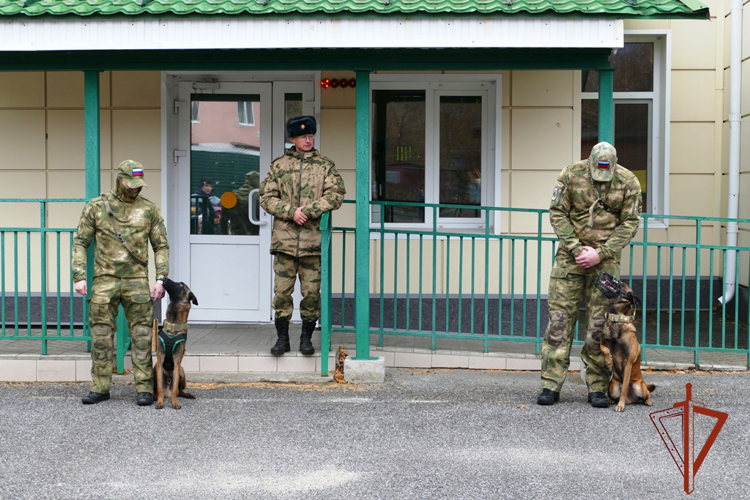 Росгвардейцы подарили праздник томским дошколятам (видео)