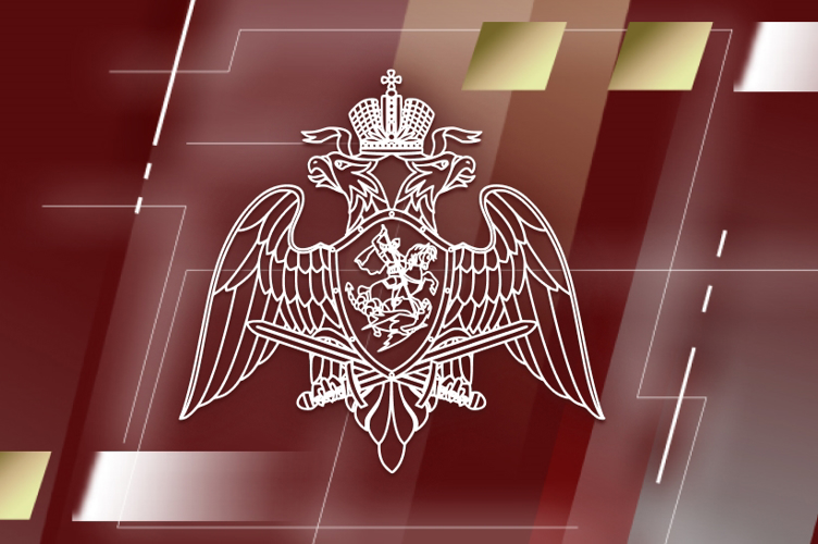 Сотрудники Росгвардии обеспечили безопасность проведения праздничных мероприятий Дня народного единства в Томской области