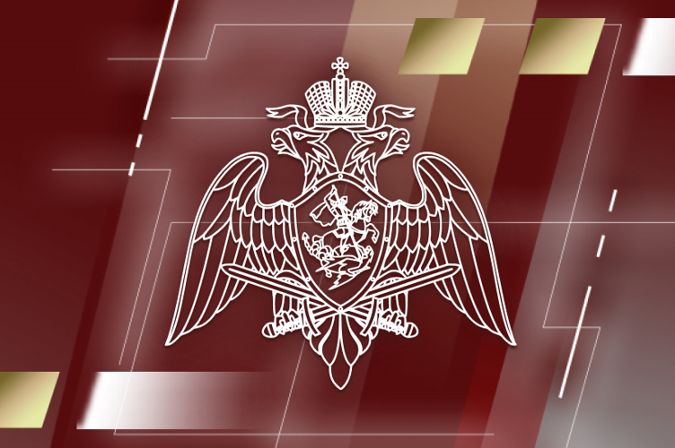 Росгвардия в Томской области озвучила итоги в сфере оборота оружия за 10 месяцев 2024 года