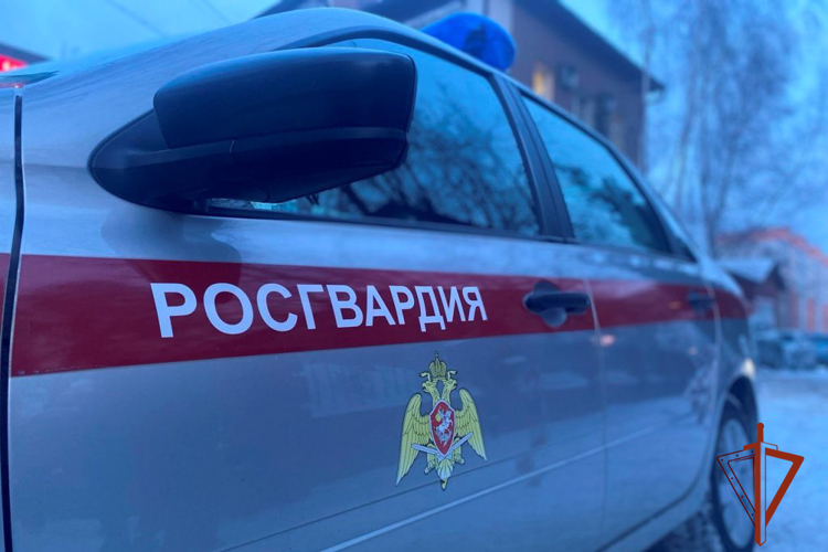 В Томске росгвардейцы совместно со службой безопасности охраняемого гипермаркета задержали работников предприятия, совершивших кражу 