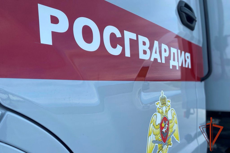 Более 10000 раз выезжали по сигналу «тревога» сотрудники Росгвардии в Томской области