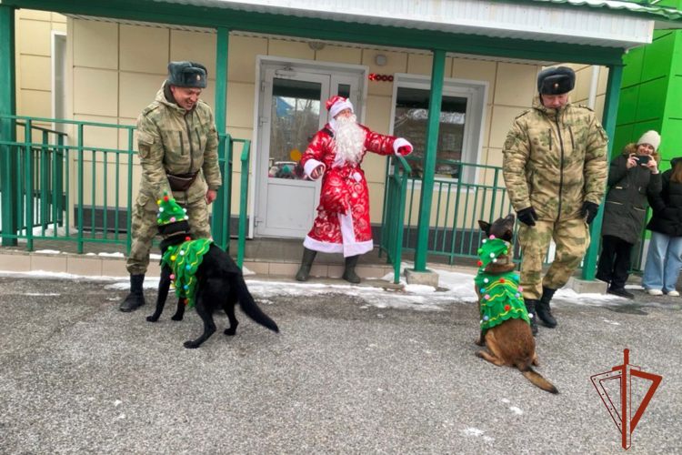 Более 70 детей из Томска встретили наступающий Новый год с кинологами Росгвардии (видео)