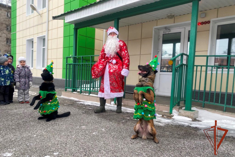 Более 70 детей из Томска встретили наступающий Новый год с кинологами Росгвардии (видео)