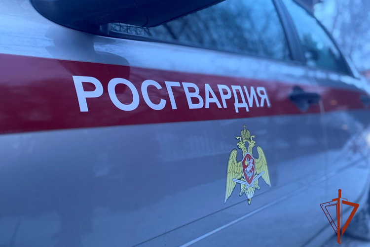 Росгвардейцы задержали двух жителей Томска за подмену ценников в охраняемом магазине (видео)