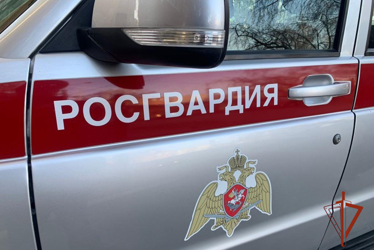 Более 700 раз выезжали по сигналу «тревога» сотрудники вневедомственной охраны Росгвардии в Томской области в 2025 году