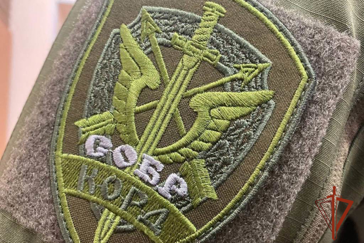 В Томской области при содействии спецназа Росгвардии задержан подозреваемый в незаконной рубке лесных насаждений в особо крупном размере