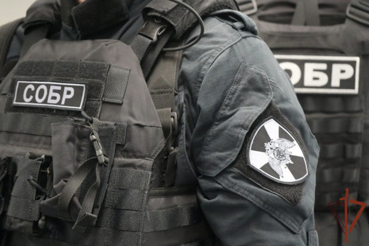 При силовой поддержке СОБР Росгвардии задержана заместитель директора томского колледжа, подозреваемая в получении взятки (видео)