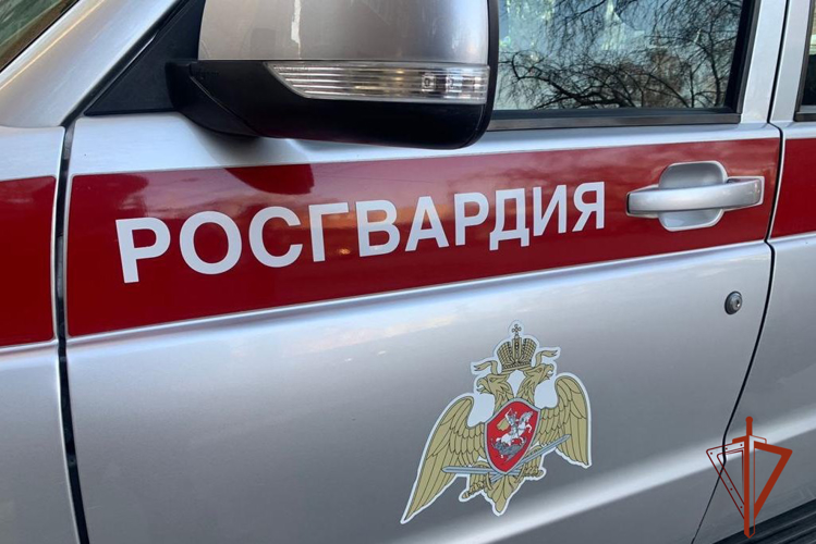 Росгвардейцы совместно с сотрудниками службы безопасности гипермаркета в Томске задержали подозреваемую в краже товаров