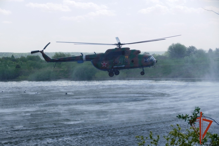 Боевые офицеры СОБР «Корд» Росгвардии совершили беспарашютное десантирование на сушу и в воду в Томской области (видео)
