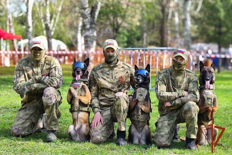 День образования кинологической службы отметили в Северском соединении Росгвардии