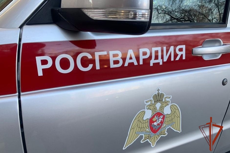 Безопасность во время футбольного матча между клубами «КДВ» и «Уралец-ТС» в Томске обеспечила Росгвардия