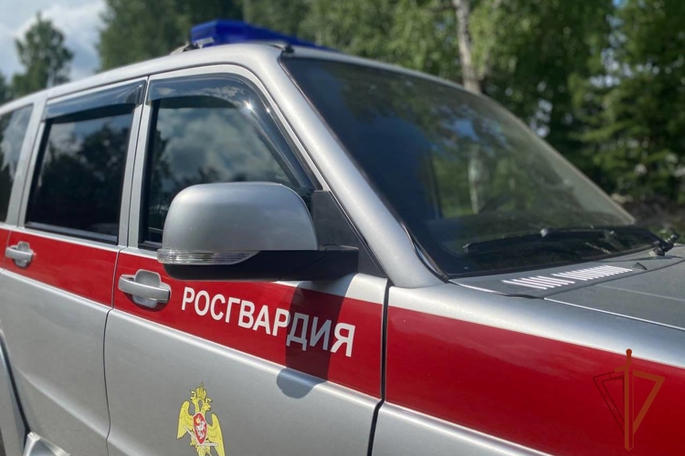 Росгвардейцы в Томске по горячим следам задержали рецидивиста, подозреваемого в грабеже