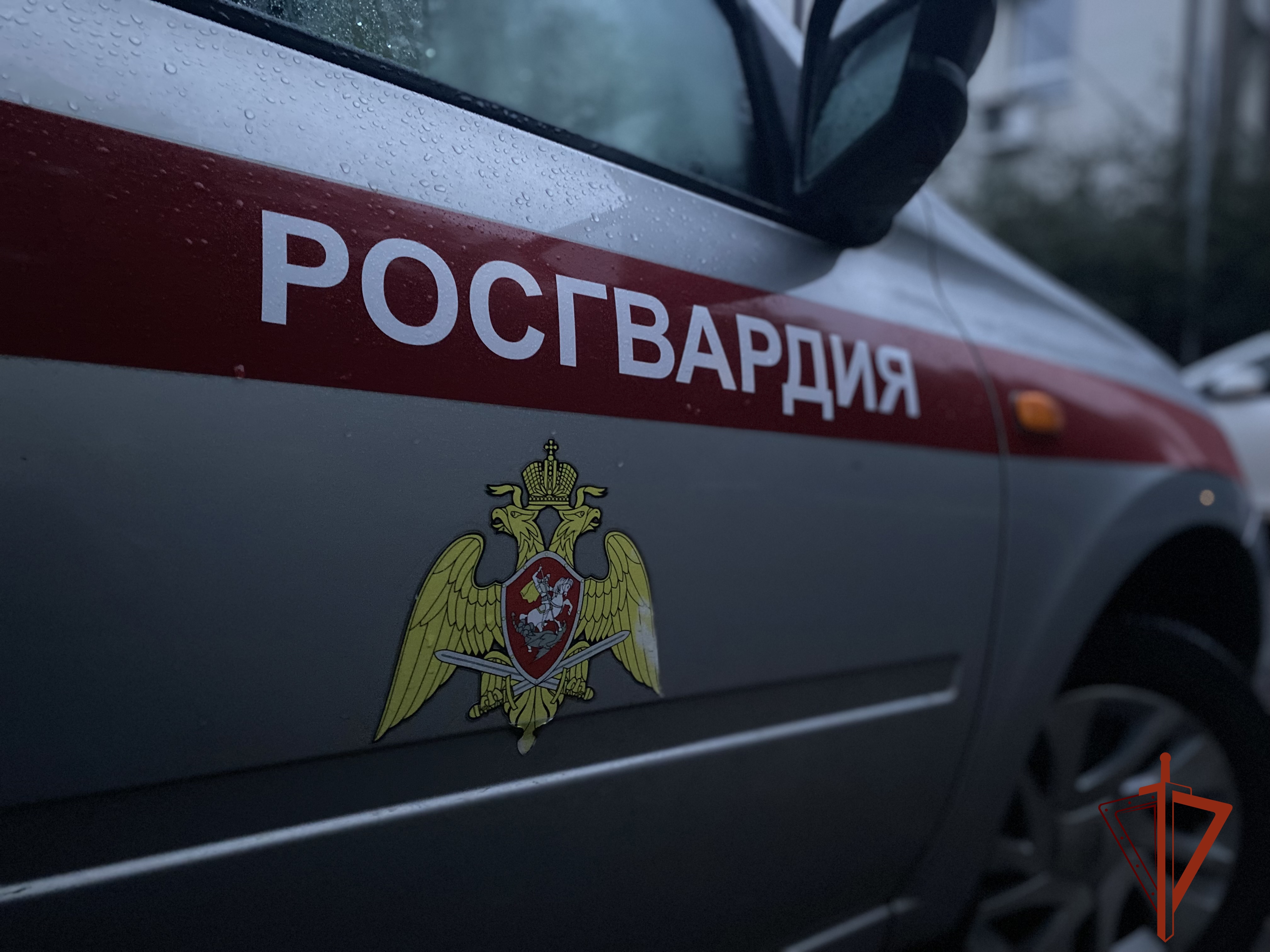 Росгвардейцы в Томске по сигналу «тревога» задержали подозреваемую в краже