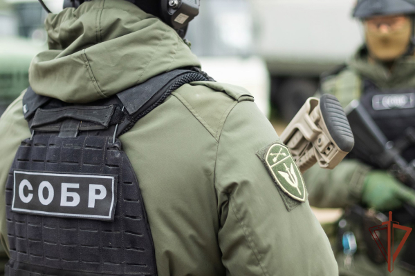 Подозреваемый в совершении насильственных действий сексуального характера задержан в Томске при силовой поддержке СОБР Росгвардии