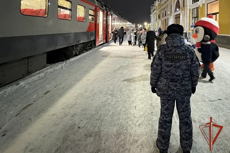 Росгвардейцы обеспечили безопасное курсирование новогоднего электропоезда в Томске