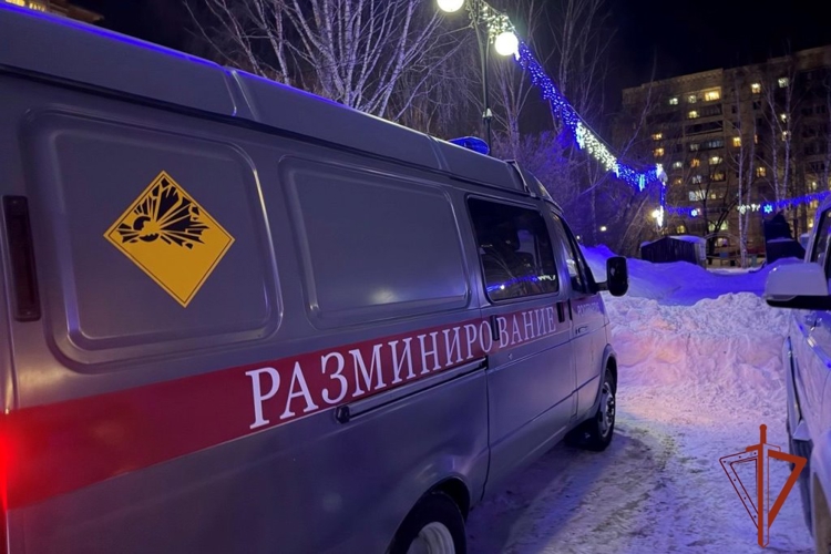 Росгвардейцы обеспечили безопасность граждан в период празднования Нового года в Томской области