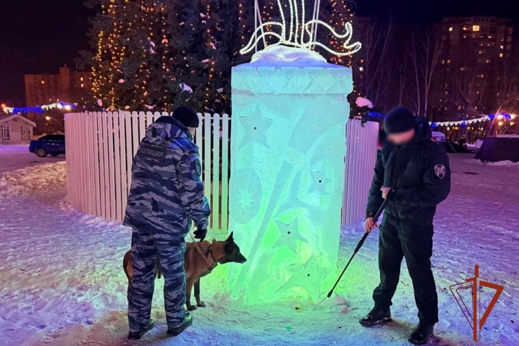 Росгвардейцы обеспечили безопасность граждан в период празднования Нового года в Томской области