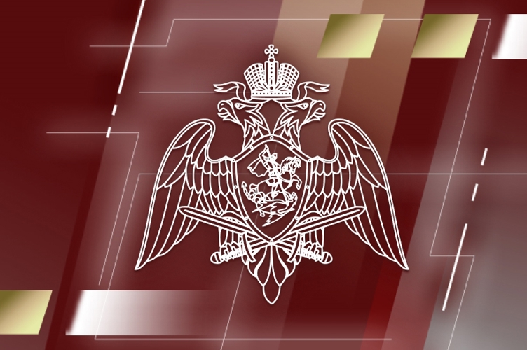Житель Томской области добровольно сдал в Росгвардию охотничий арсенал, найденный в квартире умершего отца (видео, фото)