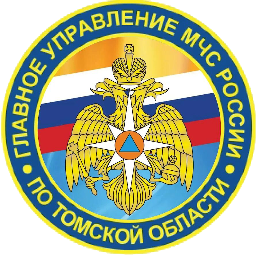 ГУ МЧС России по Томской области