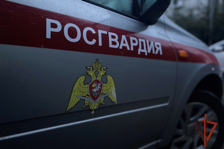 В Томске сотрудники вневедомственной охраны Росгвардии задержали подозреваемого в попытке открытого хищения 