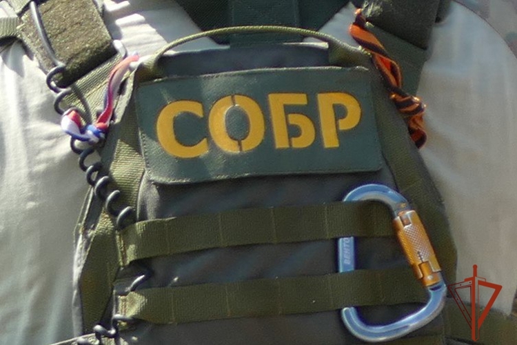 При силовой поддержке томского СОБР Росгвардии в Новосибирске задержаны аферисты, обманувшие вдову участника СВО на  14,3 млн рублей (видео)