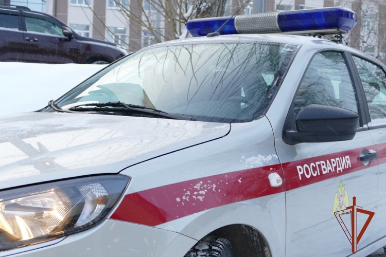 Сотрудники вневедомственной охраны Росгвардии задержали гражданина, напавшего на экипаж скорой помощи в Томске