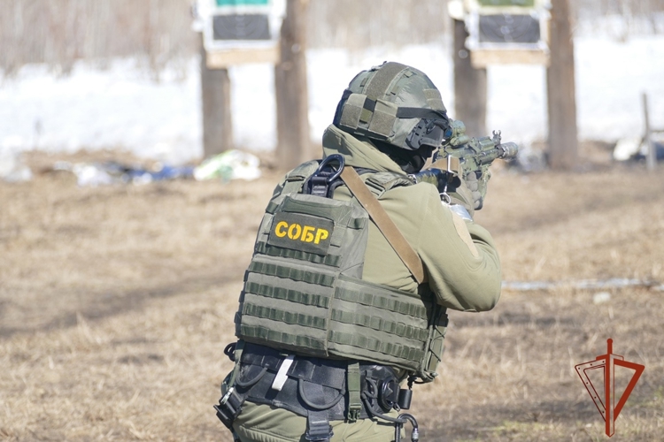 Офицеры СОБР «Корд» Росгвардии отработали беспарашютное десантирование и штурм огневых точек условного противника в Томской области (видео)