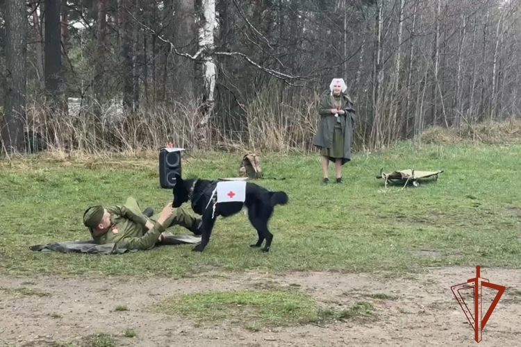 Кинологи Росгвардии рассказали жителям Томской области, как военные собаки помогали приближать Победу в Великой Отечественной войне (видео)