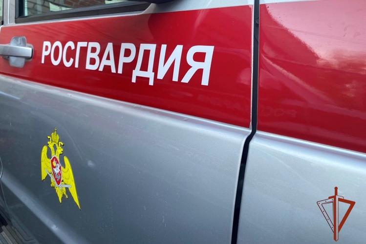 Экипаж Росгвардии и служба безопасности гипермаркета в Томске задержали подозреваемых в краже