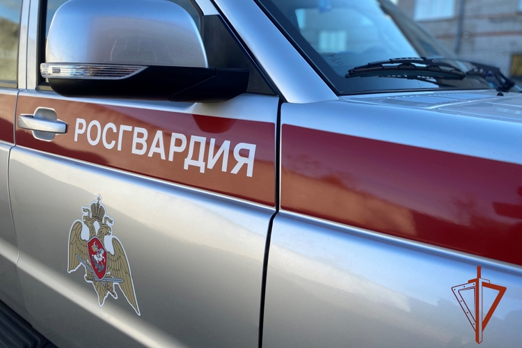 Росгвардейцы в Томской области задержали мужчину, находившегося в розыске