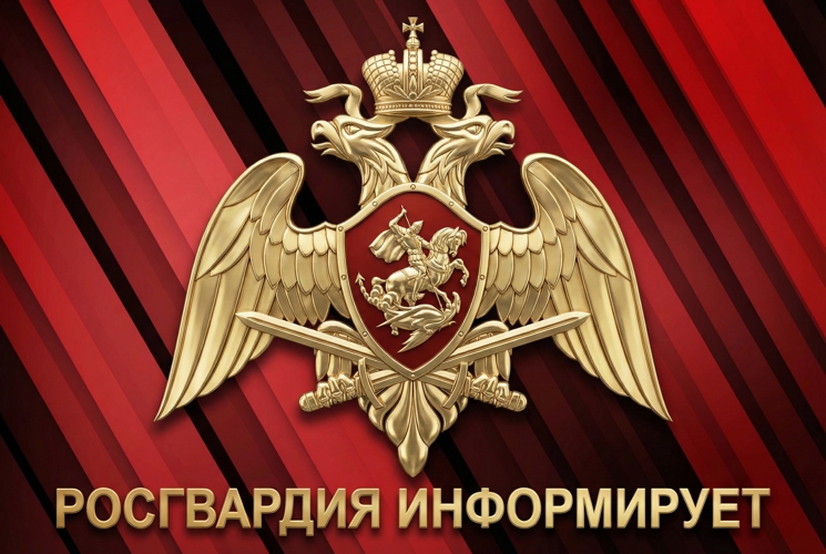 Росгвардия в Томской области информирует о внесении изменений в Федеральный закон «Об оружии»