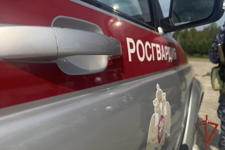 Росгвардейцы обеспечили правопорядок на футбольном матче в Томске